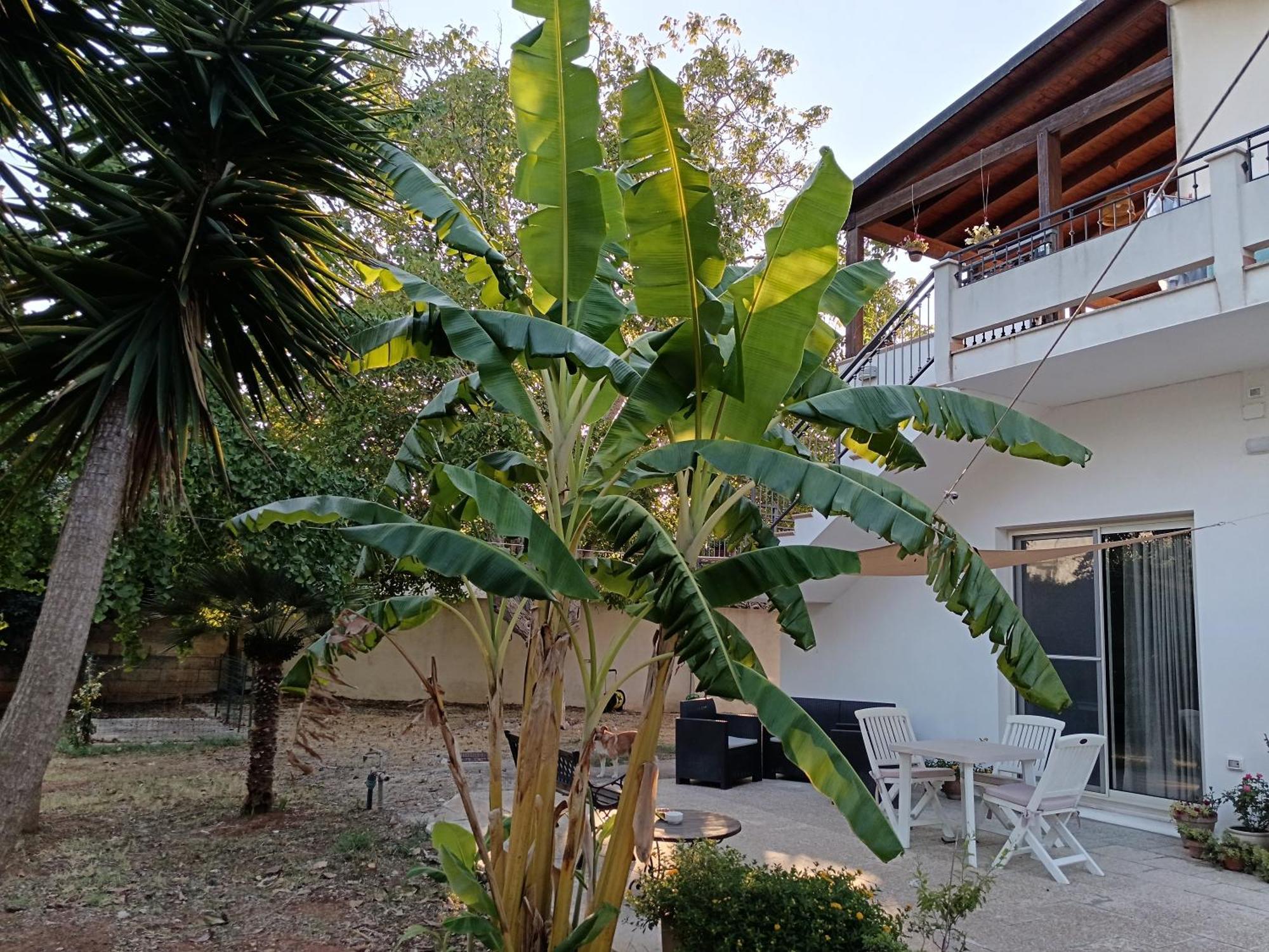 La Casa Del Noce Villa Ruffano Bagian luar foto