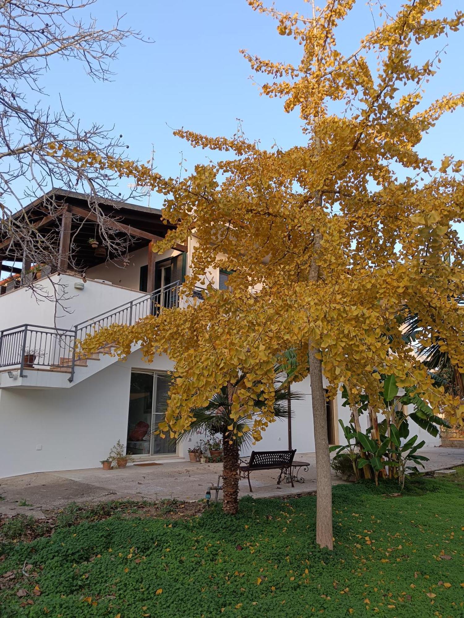 La Casa Del Noce Villa Ruffano Bagian luar foto
